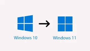 Migration Windows 11